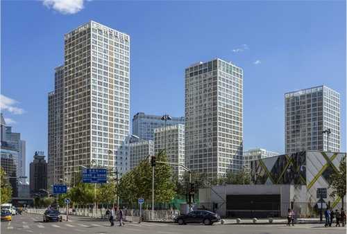 下肢静脉模型制造