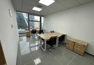 广东有机涤纶销售厂家