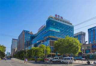 河北区厂区景观绿化公司