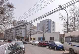 盘锦专业生产活性炭批发零售低价格