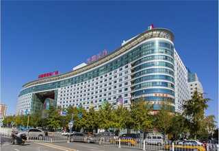 福建大型木片加工设备多少钱